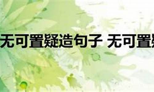 无可置疑造句子简单一点-无可置疑 造句