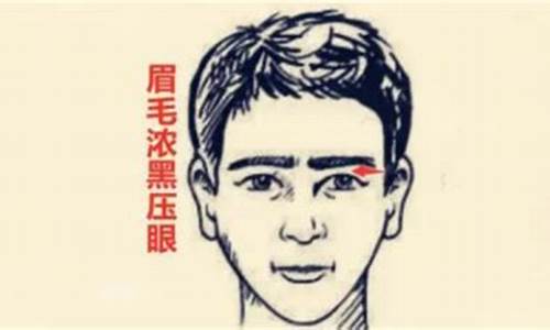 眼高手低不实际打一生肖-眼高手低打一十二生肖