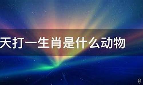 一表示什么生肖-一打一生肖是什么动物类型是什么